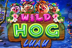 wild-hog-luau